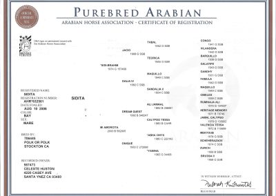 Pedigree